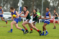 IMG_9898 (1)