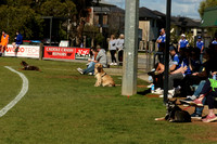 BFC rd 16 V Mt Barker  2014